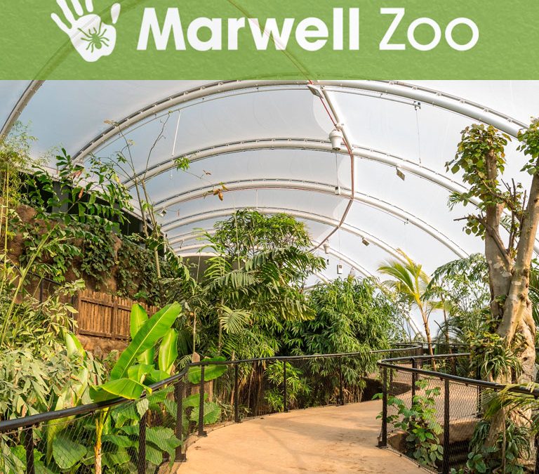 768x768-project-marwell