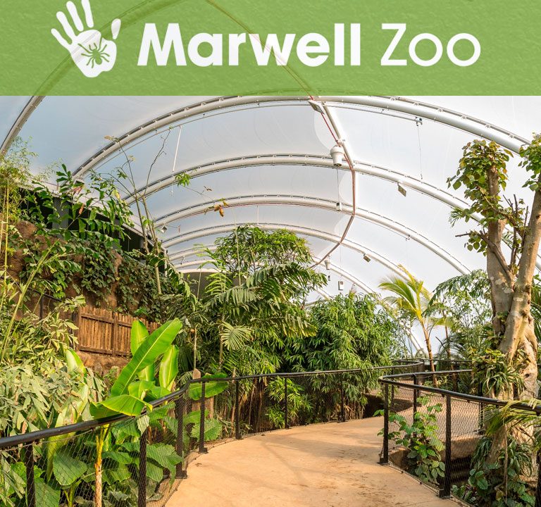 768x768-project-marwell