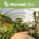 768x768-project-marwell
